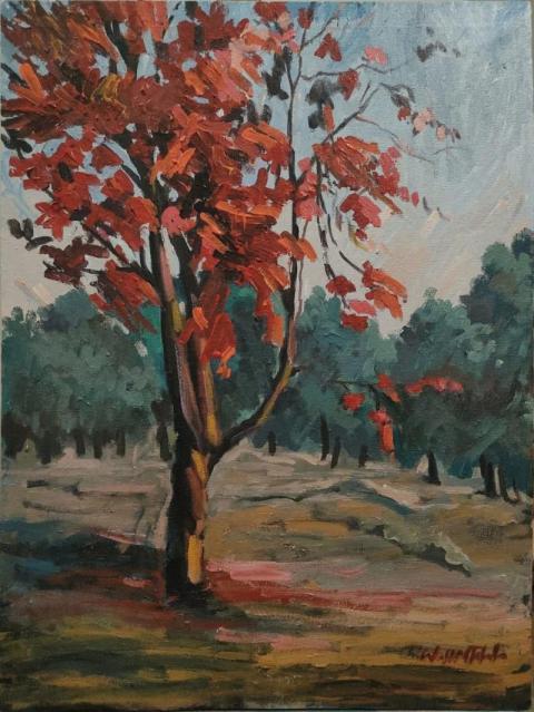 FB IMG 1755239930470