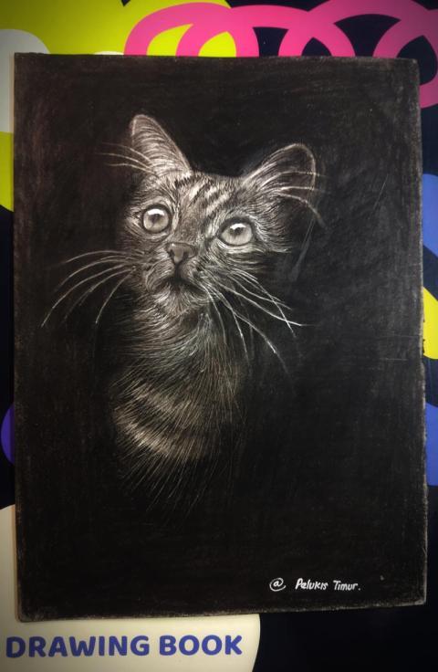 My original drawing  cat
