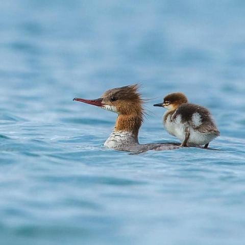 FB IMG 1761037526165