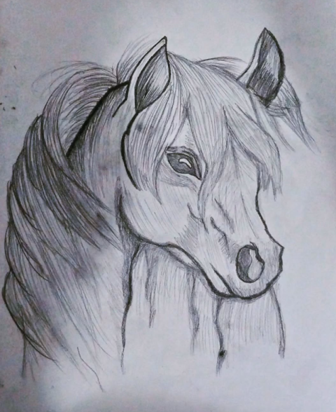 Captura de tela 2025 08 08 103656