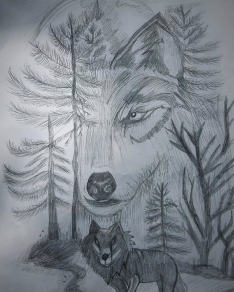 Captura de tela 2025 08 08 113402