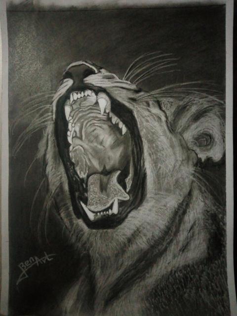 IMG 20250103 205559 8