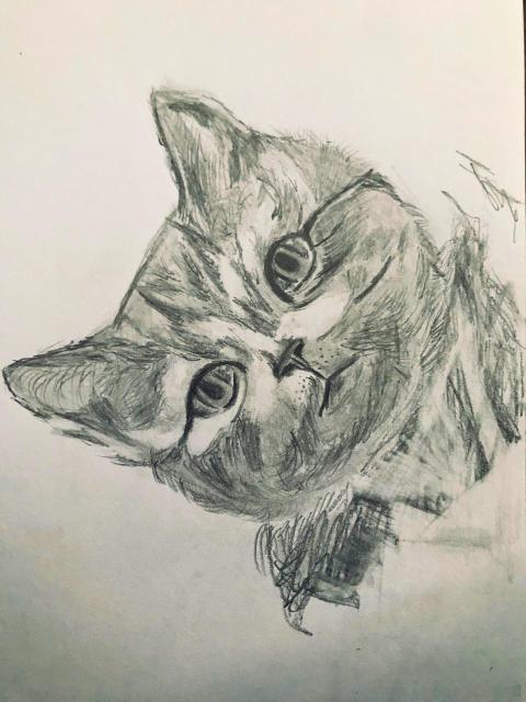 85C88940 CBA4 4DF2 A2C7 82E7C5CF1467