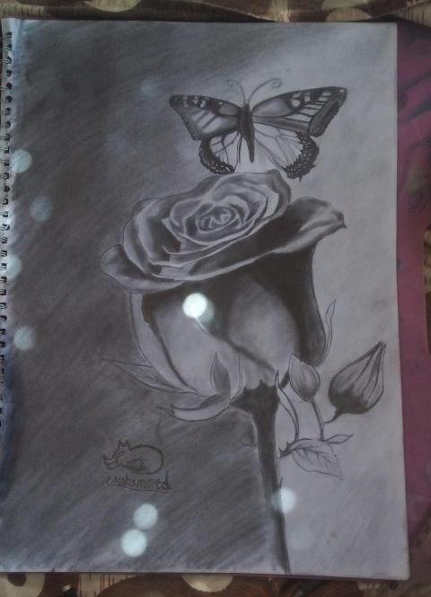 ٢٠٢٤٠٤٢٣ ١٢٣٠١١ 1